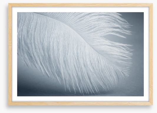 Feather soft
