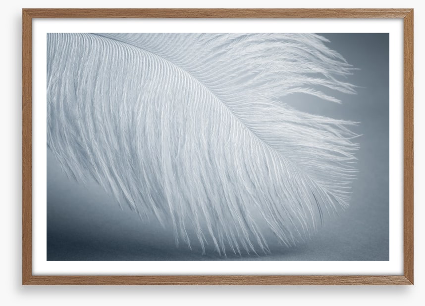 Feather soft