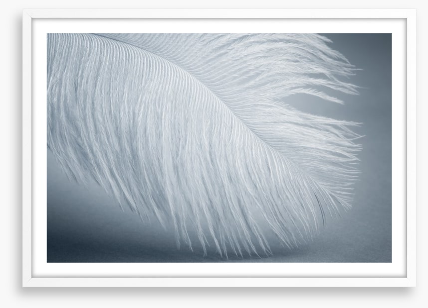 Feather soft