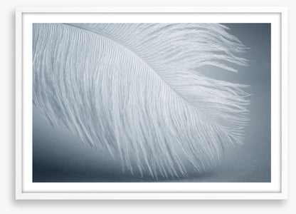 Feather soft