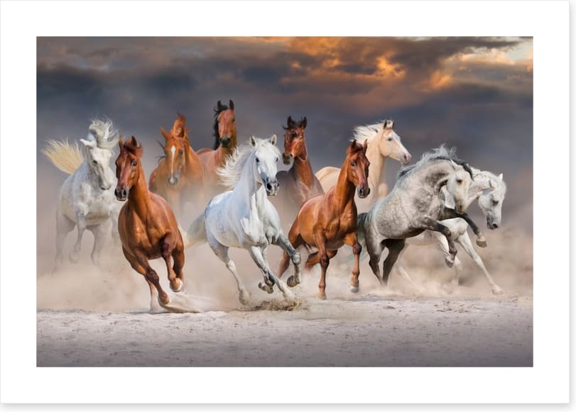 Sunset gallop