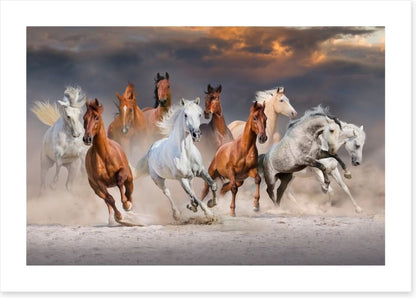 Sunset gallop