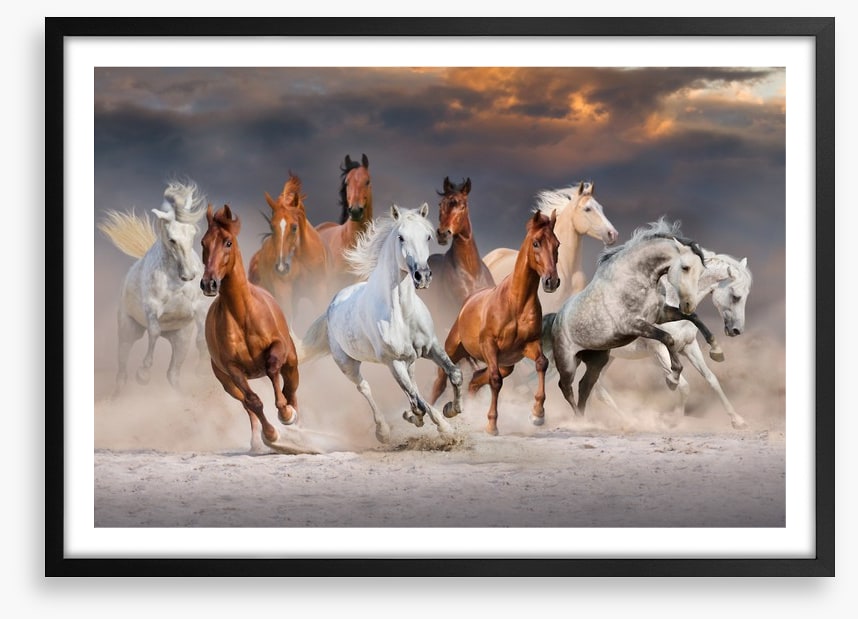 Sunset gallop