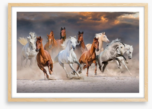 Sunset gallop