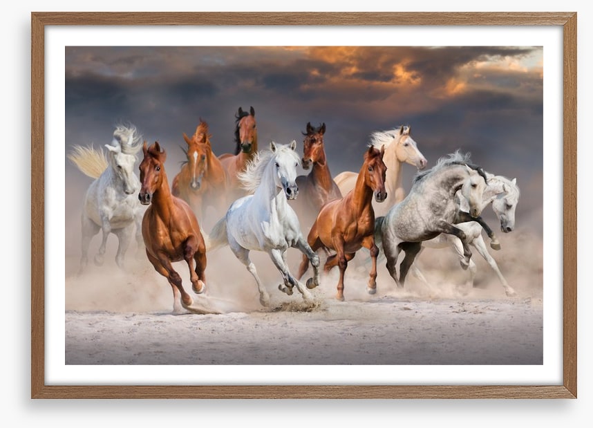 Sunset gallop