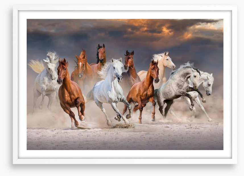 Sunset gallop
