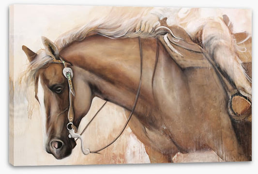 Taming the mustang