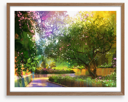 Sunlight in the garden