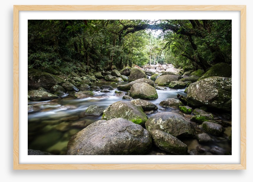 Deep in Mossman Gorge
