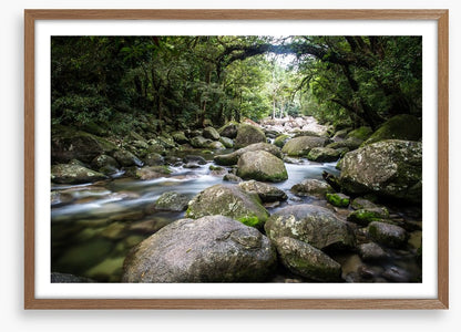 Deep in Mossman Gorge