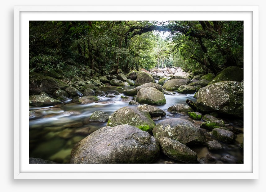 Deep in Mossman Gorge