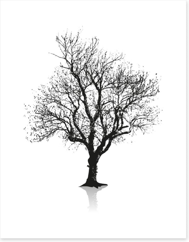 Solitude