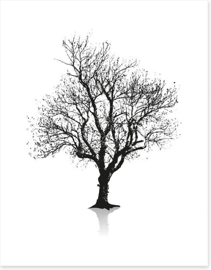 Solitude