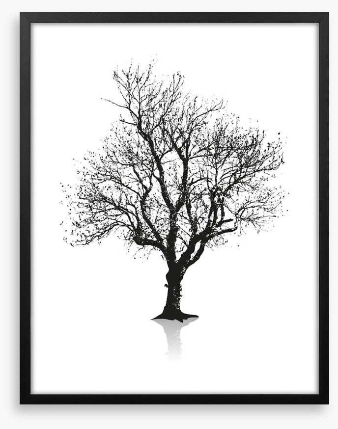 Solitude