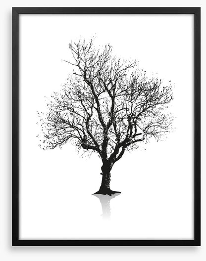 Solitude