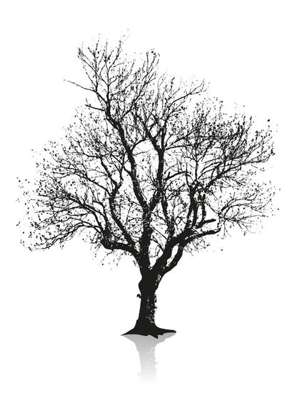 Solitude