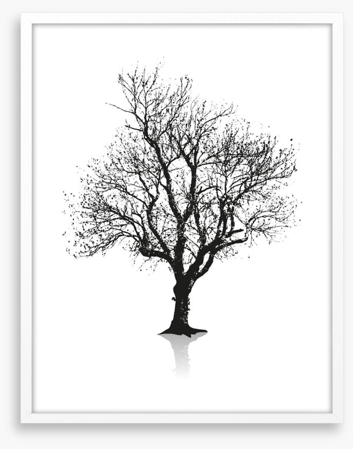 Solitude
