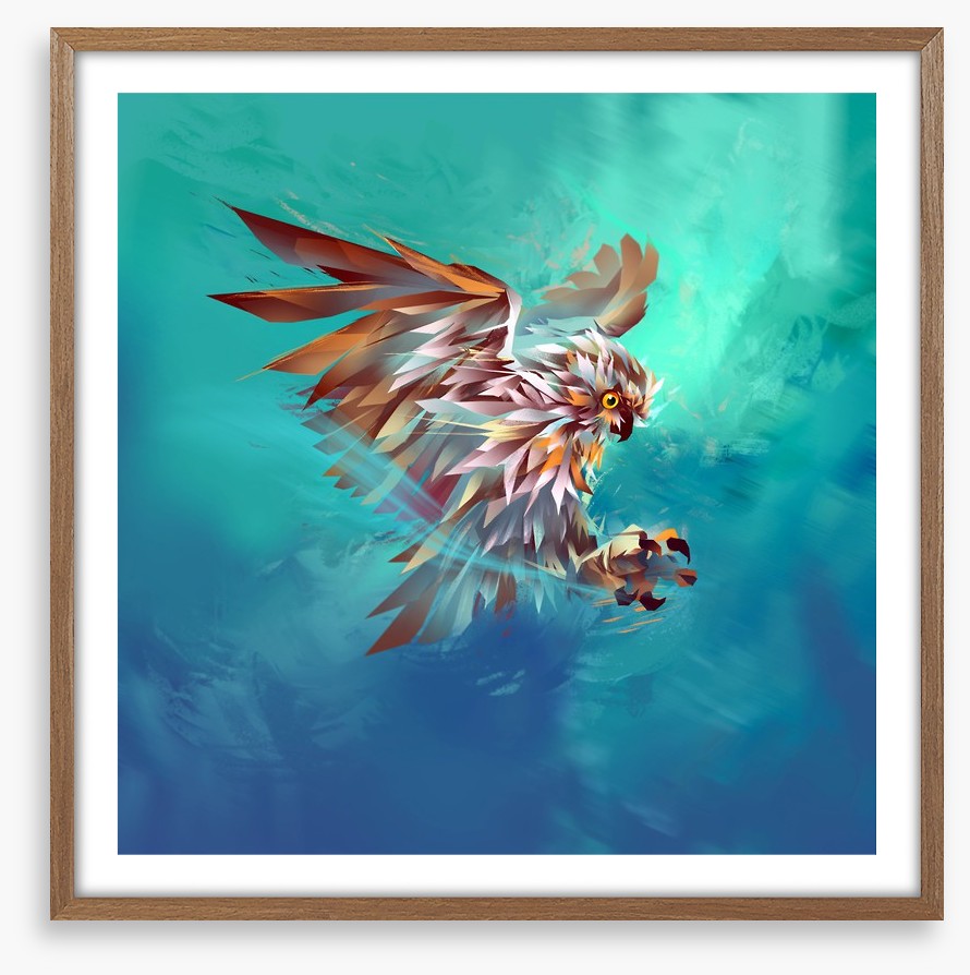 Good owl hunting
