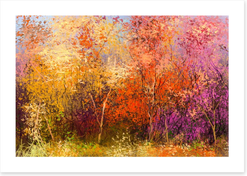 The beauty of Fall