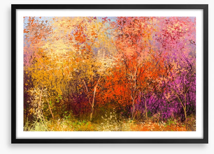The beauty of Fall