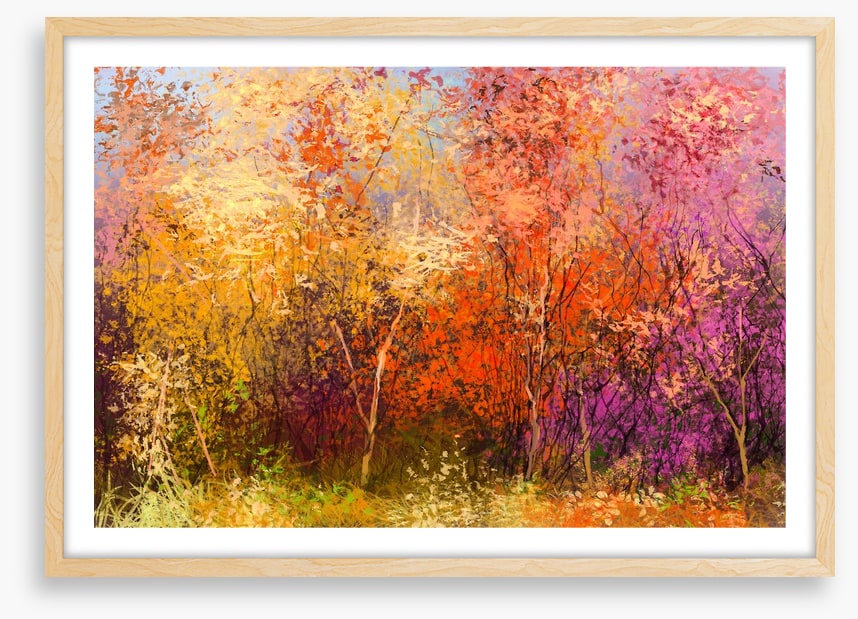 The beauty of Fall