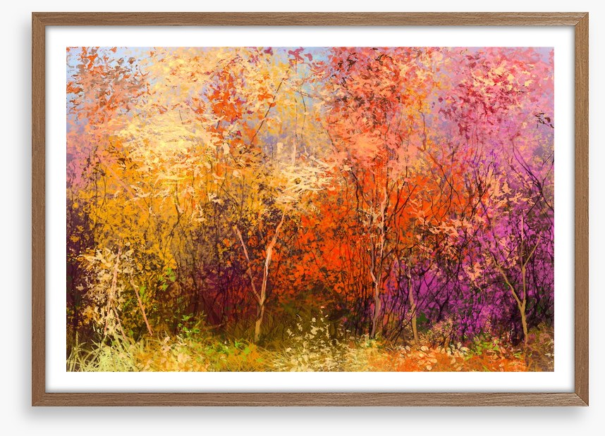 The beauty of Fall
