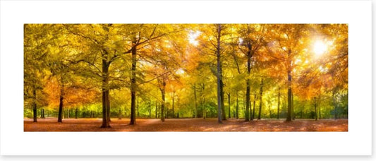Leaves of fall