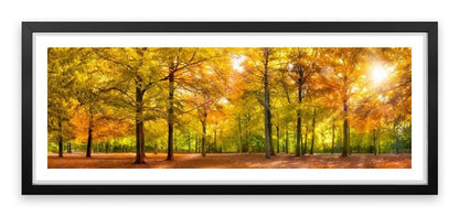 Leaves of fall
