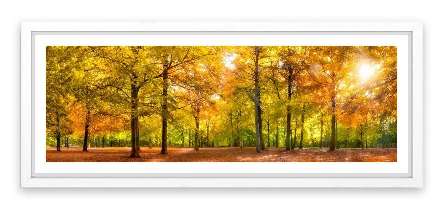 Leaves of fall