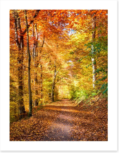Fall light falling