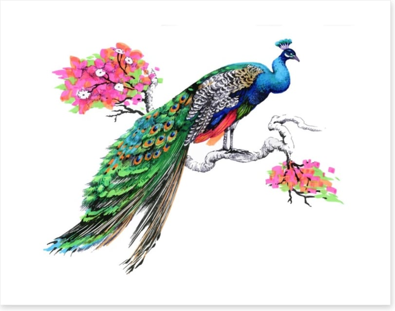 Peacock perch