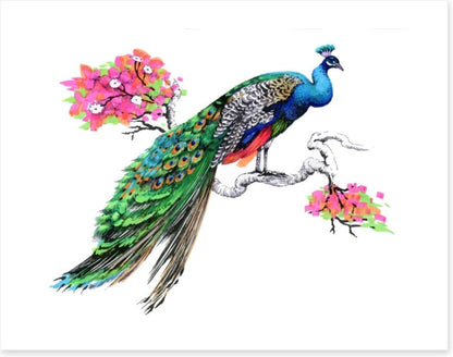 Peacock perch