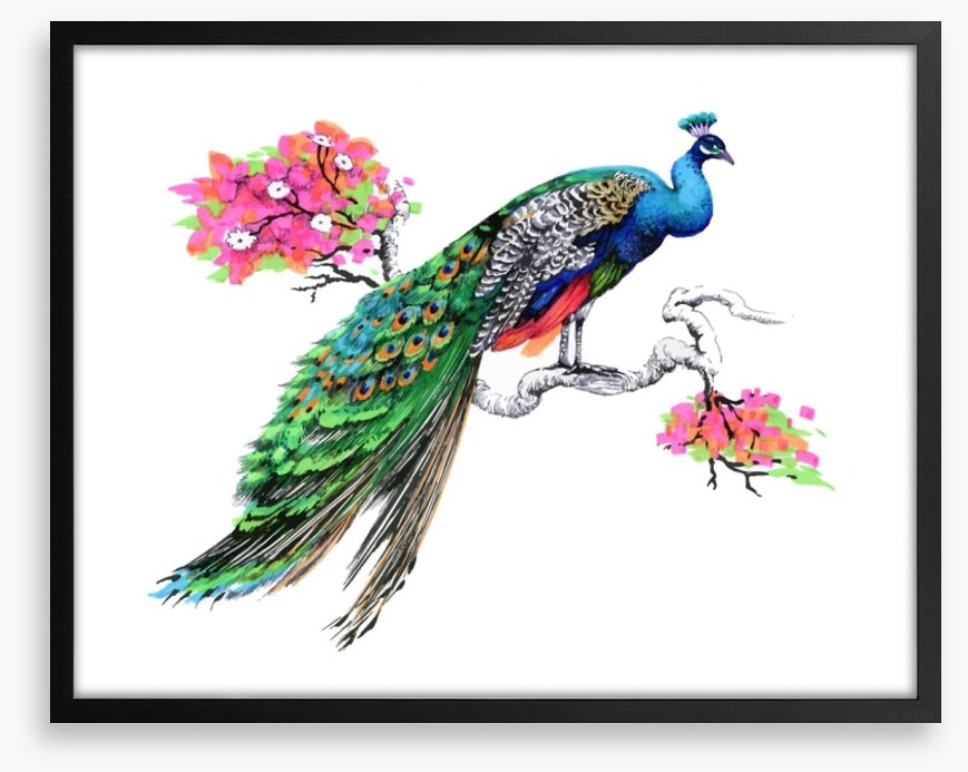 Peacock perch