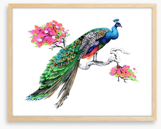 Peacock perch