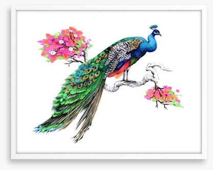 Peacock perch