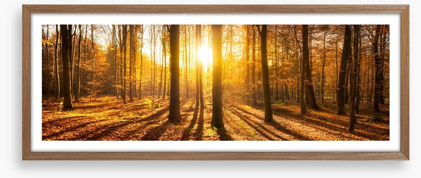 Autumn shadows panorama