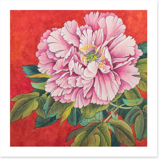 Peony on red