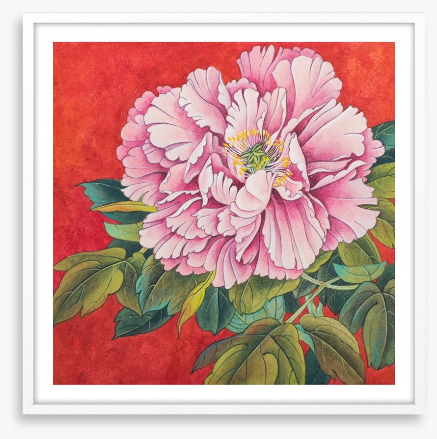 Peony on red