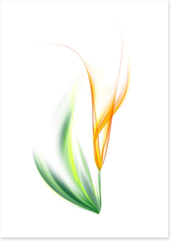 One yellow tulip