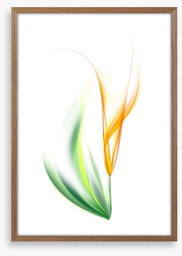One yellow tulip