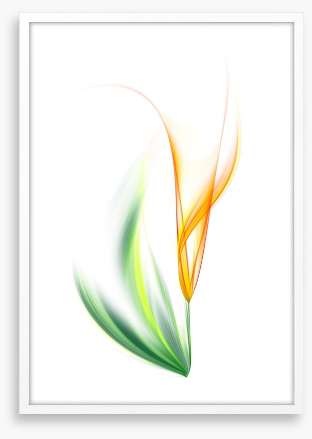One yellow tulip