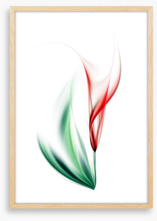 One red tulip