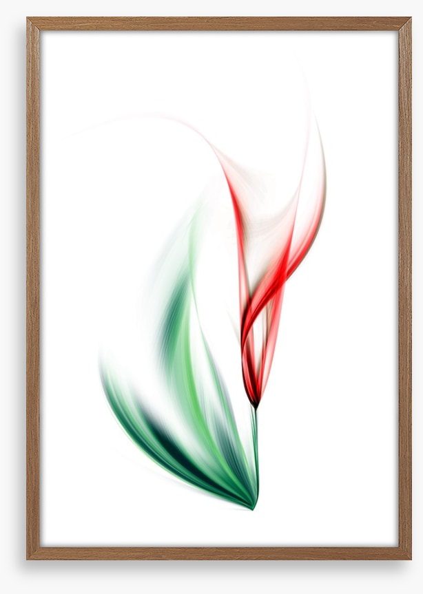 One red tulip