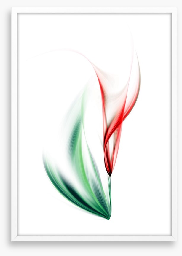 One red tulip