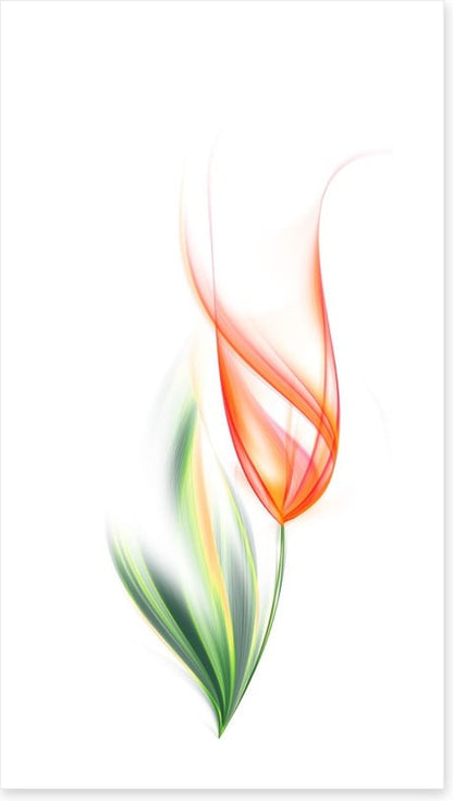 One orange tulip