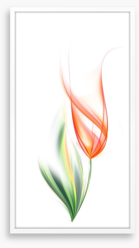One orange tulip