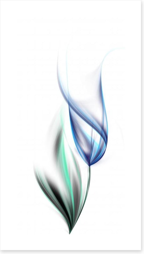 One blue tulip