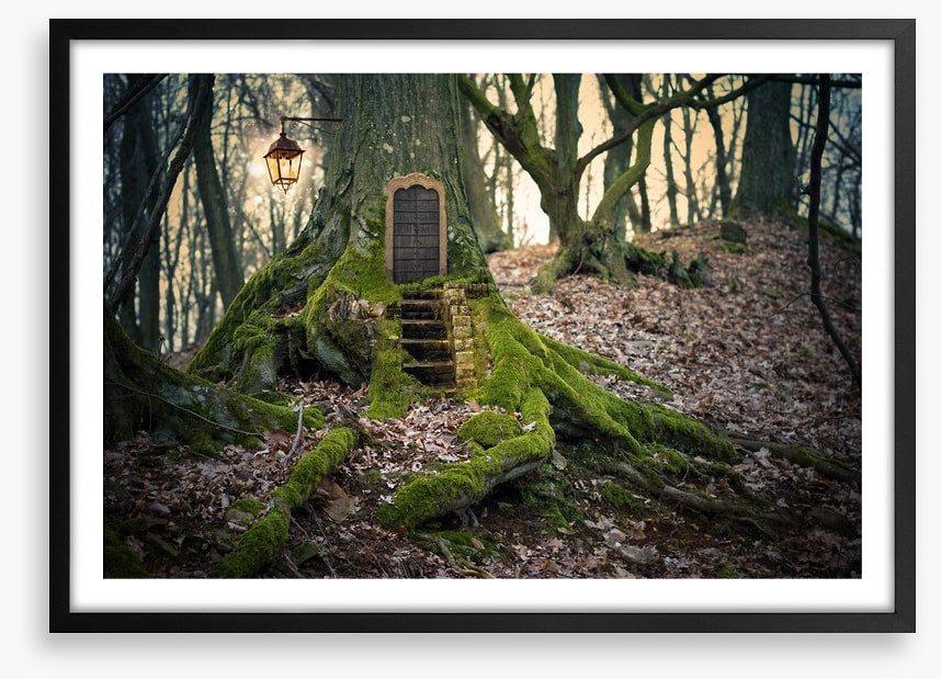 The fairy forest