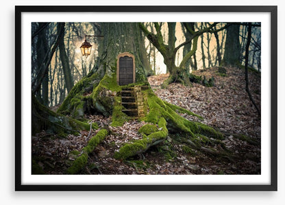 The fairy forest