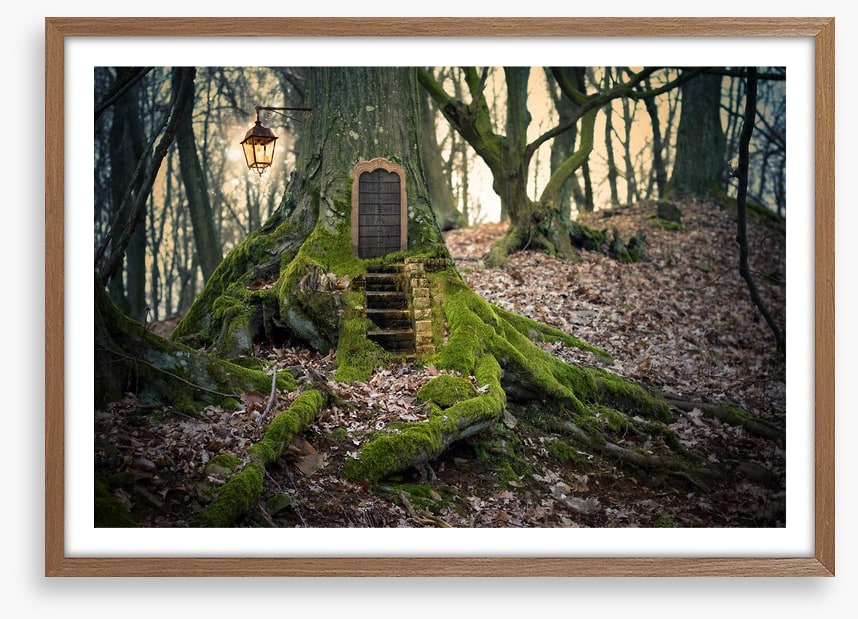 The fairy forest